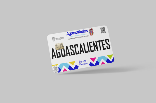 MEXICAN PLATE(PLACAS MEXICANAS) 2 PC  credit card skin & DEBIT CARD