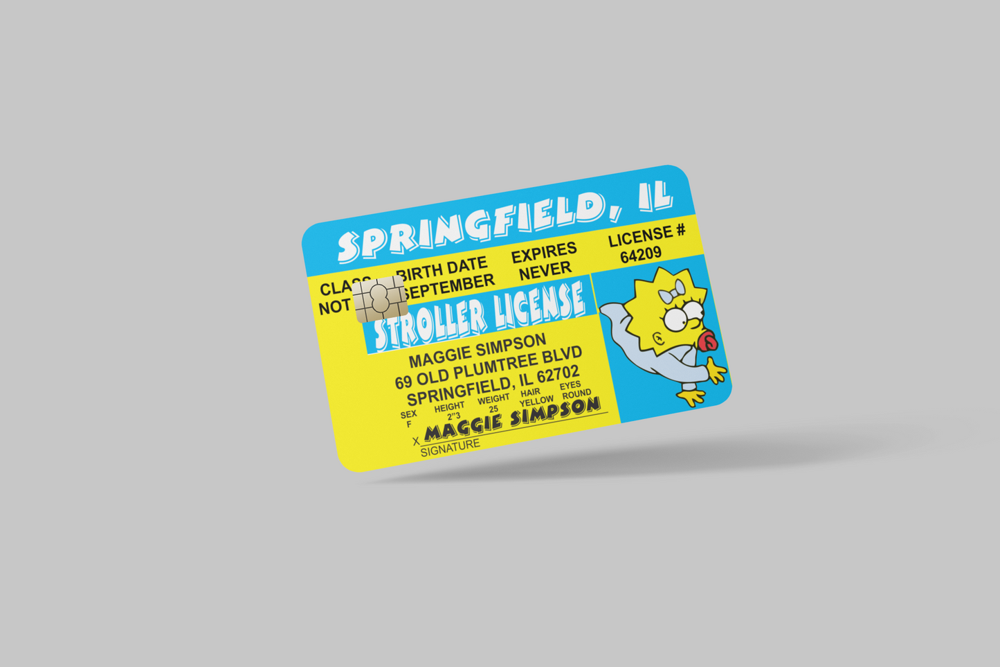 THE SIMPSONS 2 PC credit card skin & DEBIT CARD