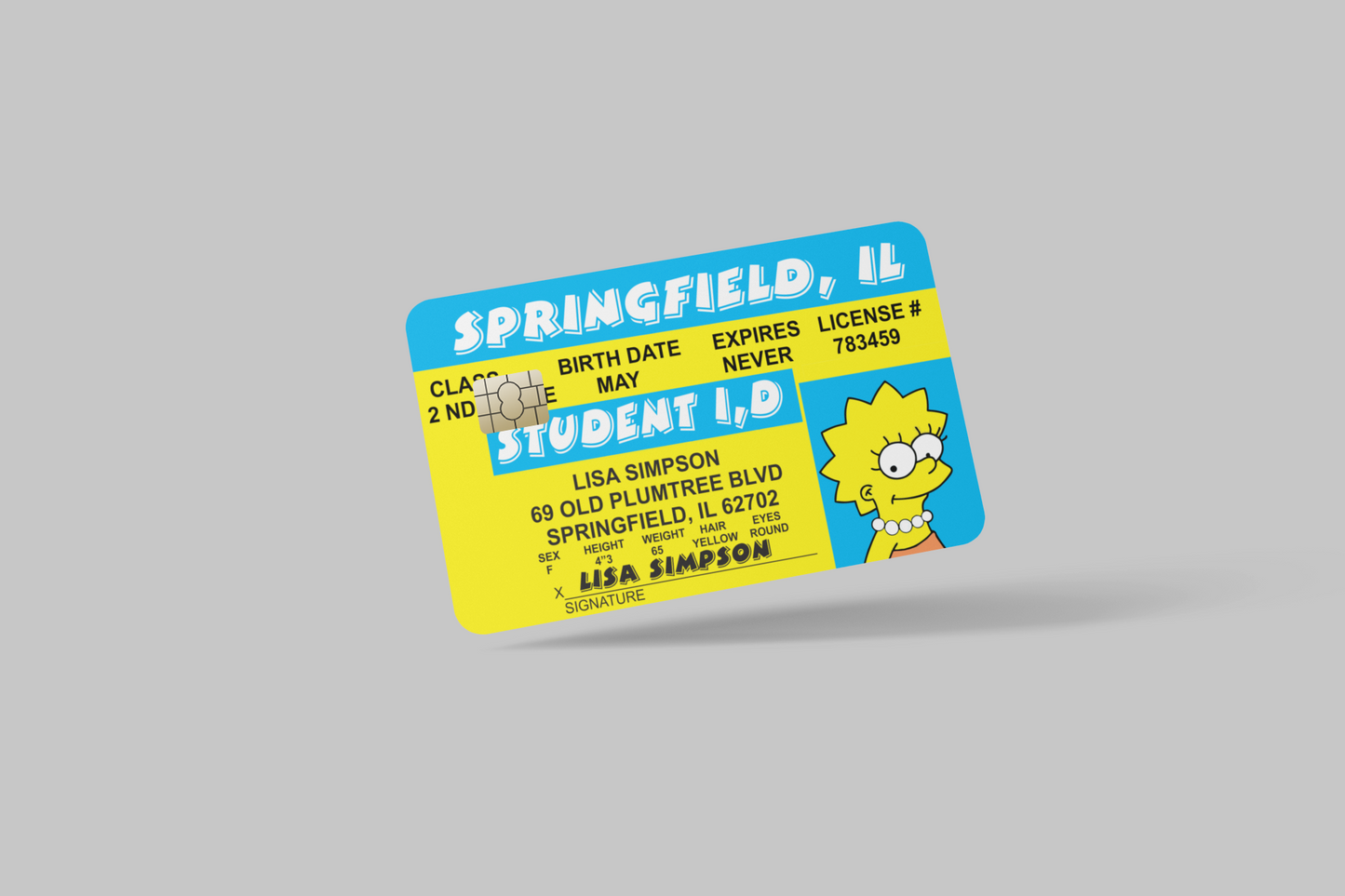 THE SIMPSONS 2 PC credit card skin & DEBIT CARD