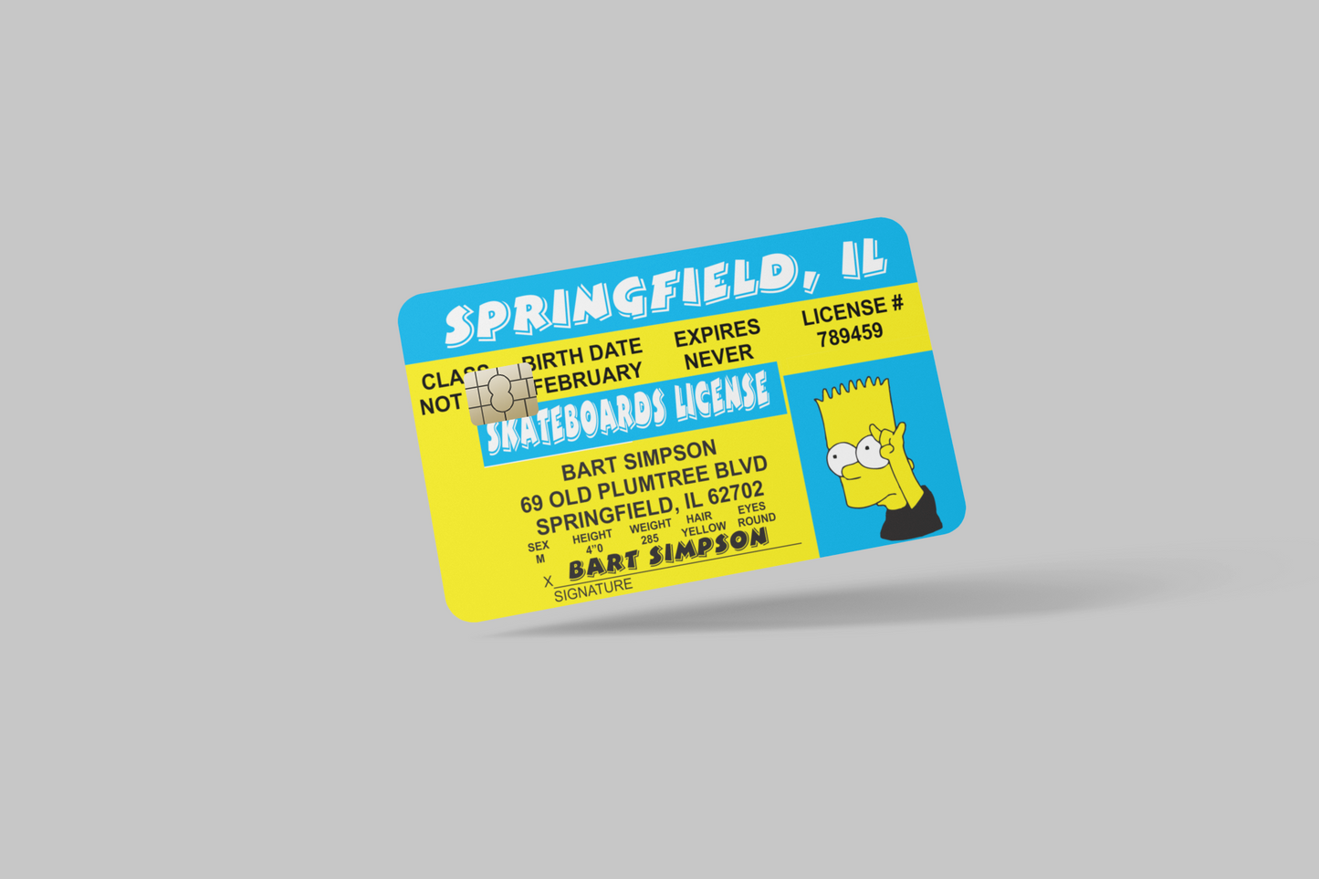THE SIMPSONS 2 PC credit card skin & DEBIT CARD