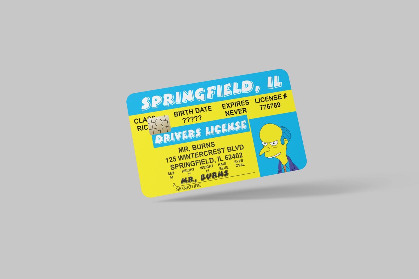 THE SIMPSONS 2 PC credit card skin & DEBIT CARD