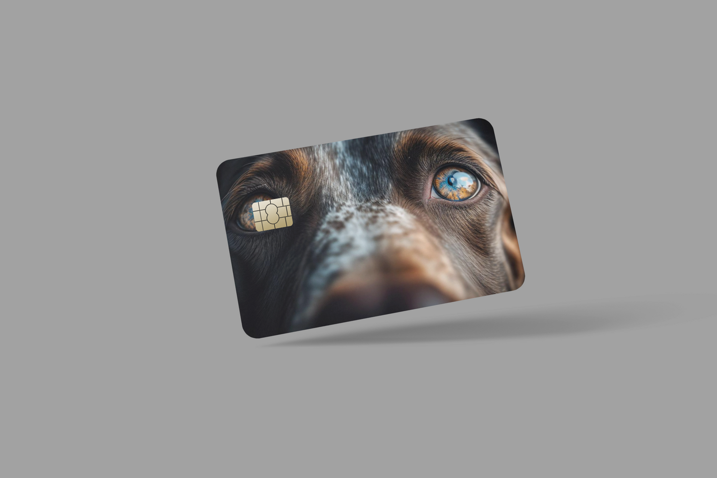 EYE ANIMAL 2 PC credit card skin & DEBIT CARD