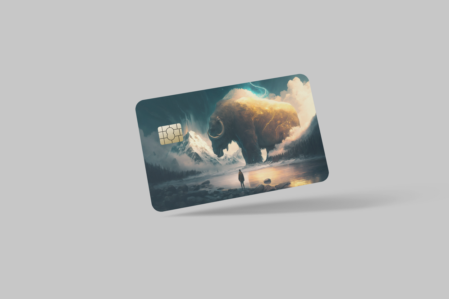 THE NORTH FRONTIER 2 PC credit card skin & DEBIT CARD
