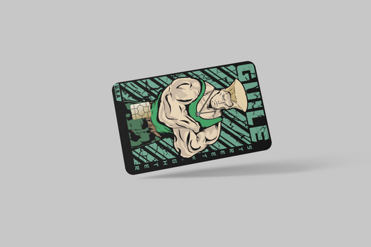 STREET FIGHTER 2 PC, credit card skin & DEBIT CARD