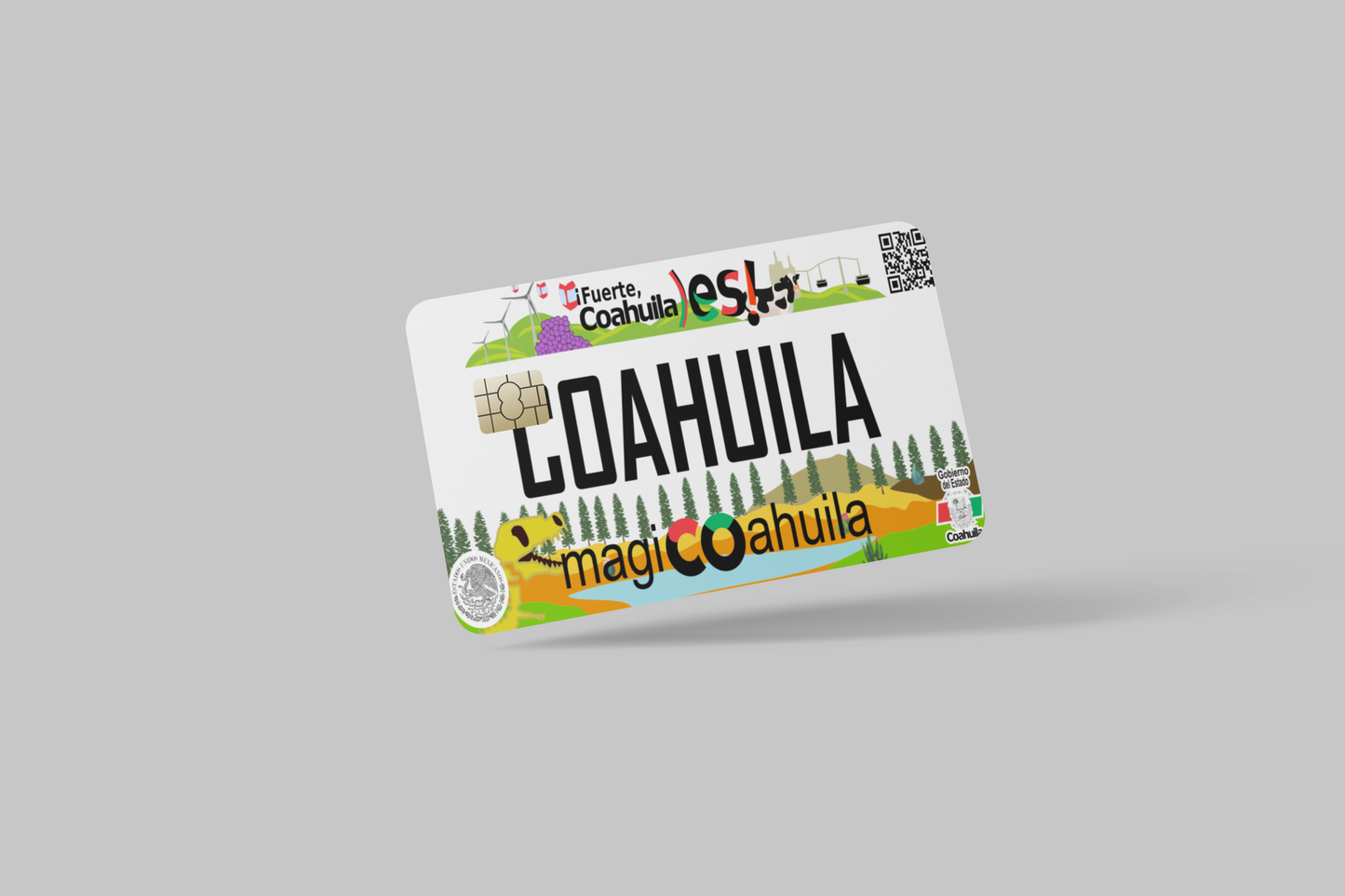 MEXICAN PLATE(PLACAS MEXICANAS) 2 PC credit card skin & DEBIT CARD
